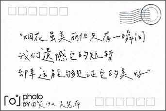 说明:C:\Users\15325\Desktop\IMG_6558(20200417-222042).JPG